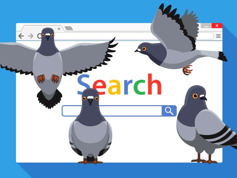 الگوریتم کبوتر بر بالای صفحه نتایج جستجو گوگل پرواز می‌کند